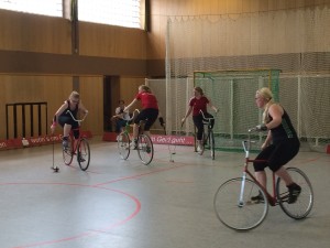 2016-05-28-Radpolo03