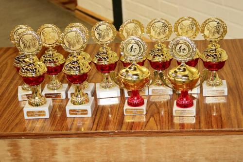 Vereinsmeisterschaft